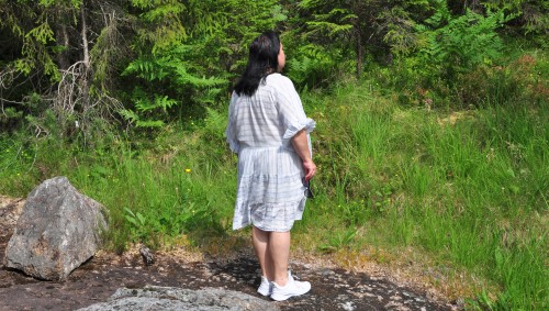 Miniature
