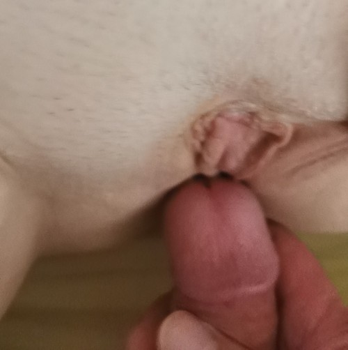 Miniature